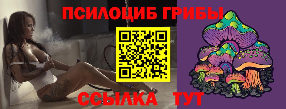 Новоуральск  Галлюциногенные грибы Psilocybe  Псилоцибиновые грибы Psilocybe  Вход с VPN 